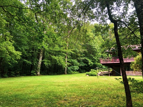 Quiet woodland retreat