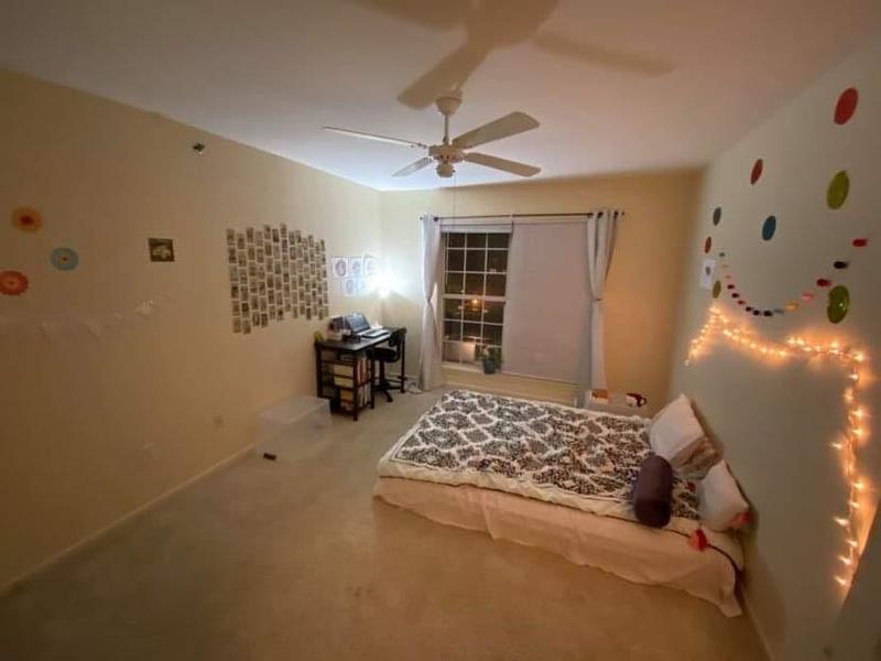 roommates in Stamford Private Room Available in Shared Ap - cirtru.com