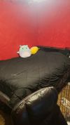 Private Room in 3Bed.2Bath