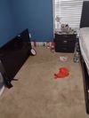 Private Room in 2Bed.1Bath