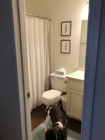 Private Room in 2Bed.2Bath