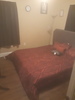 Private Room in 4Bed.2Bath
