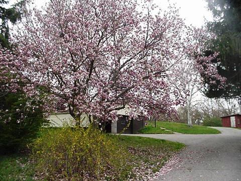Entire Place 3Bed.2Bath
