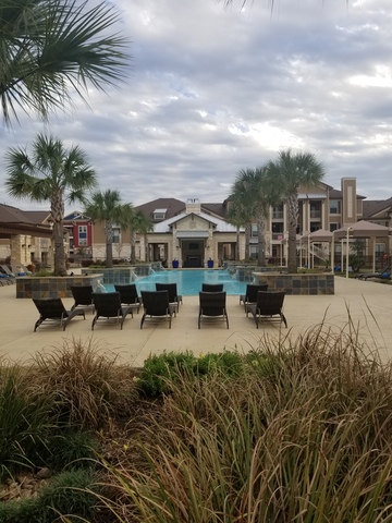 Roommate needed