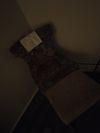 Private Room in 3Bed.1Bath