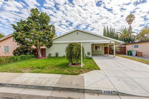 Private Room in 3Bed.2Bath