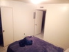 Shared Room in 1Bed.1Bath