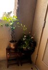 Private Room in 2Bed.2Bath