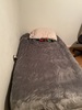 Private Room in 4Bed.2Bath