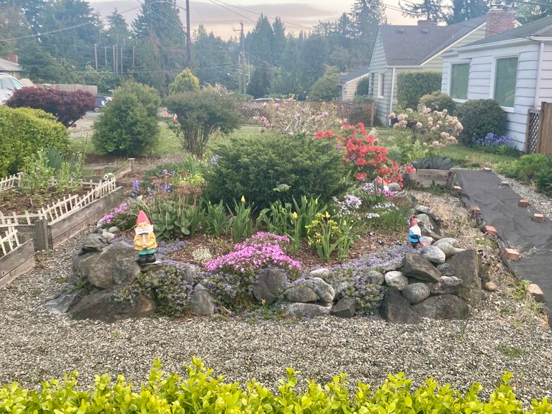 roommates in Seattle Entire Place 2Bed.1Bath - cirtru.com