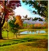Entire Place 3Bed.1Bath