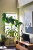 Entire Place 2Bed.1Bath