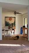Private Room in 2Bed.2Bath