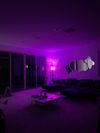 Private Room in 4Bed.3Bath