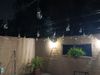 Private Room in 3Bed.2Bath