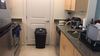 Looking for a professional roommate