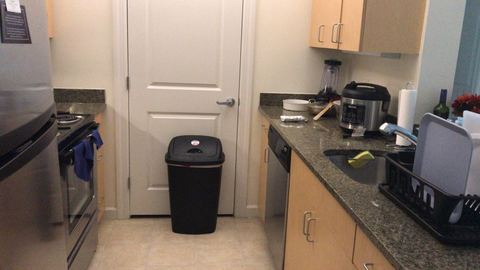 Looking for a professional roommate
