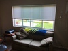 Private Room in 2Bed.1Bath