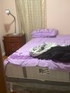 Shared Room in 2Bed.1Bath