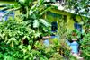 Entire Place 2Bed.2Bath