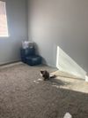 Private Room in 2Bed.1.5Bath