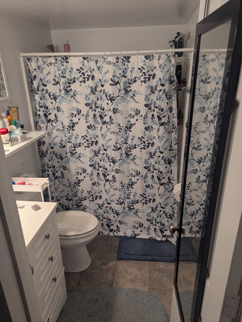 roommates in Raleigh Entire Place 1Bed.1Bath - cirtru.com