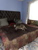 Private Room in 2Bed.2Bath