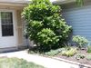 Entire Place 2Bed.1.5Bath