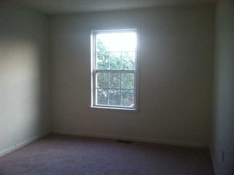 Female Roommate wanted