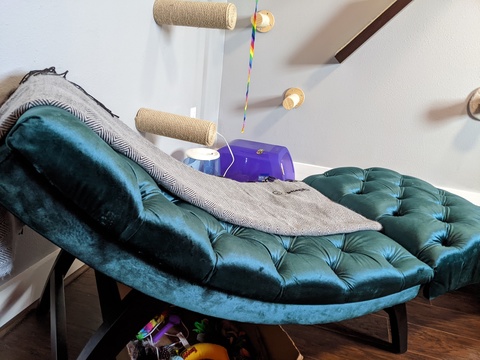 Pet Friendly 3bed/1bath 9 Lives Inn