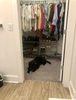 Entire Place 2Bed.2Bath