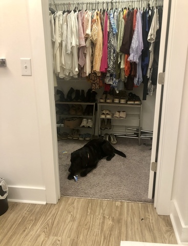 Entire Place 2Bed.2Bath