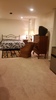 Private Room in 3Bed.3Bath