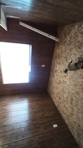 Private Room in 2Bed.2Bath