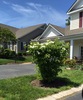 Private Room in 3Bed.2Bath