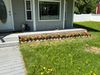 Entire Place 2Bed.1Bath