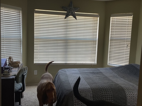 Private Room in 4Bed.2Bath