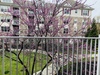 Private Room in 2Bed.2Bath