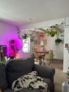 Shared Room in 2Bed.1Bath