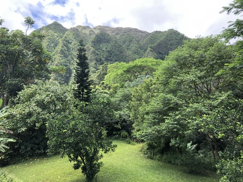 Entire Place 3Bed.1Bath