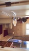 Private Room in 2Bed.1Bath