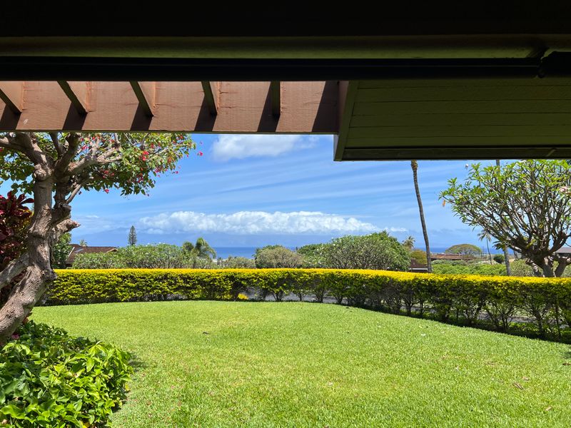 roommates in Lahaina Entire Place 2Bed.2Bath - cirtru.com