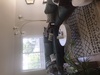 Private Room in 2Bed.2Bath