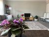 Private Room in 2Bed.1.5Bath