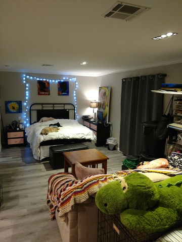 Looking for a roomie by September