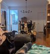 Private Room in 3Bed.3Bath
