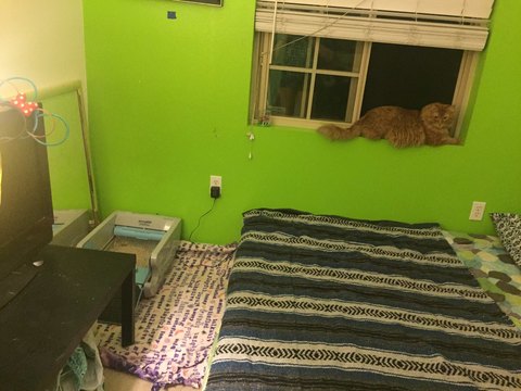 1 bedroom and 1 bath for rent in a