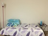 Required Female Indian Roommate