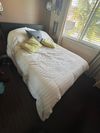 Private Room in 4Bed.3Bath