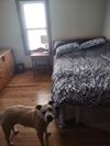 Private Room in 3Bed.1.5Bath